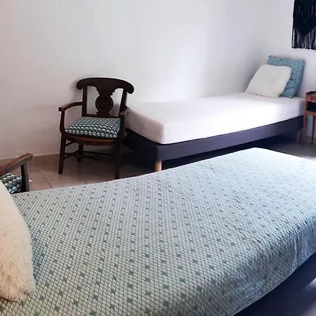 Domaine Mas Natura 2 Climatisation, Piscine Et 別荘 バニウル・デル・アスプル